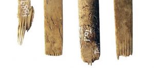 ancient tattooing tool tonga