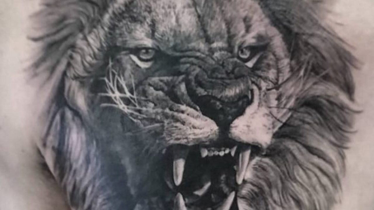S.A.V.I 3D Temporary Tattoo Angry Roaring Lion Big Face Design Size 21x15CM  - 1PC. : Amazon.in: Beauty