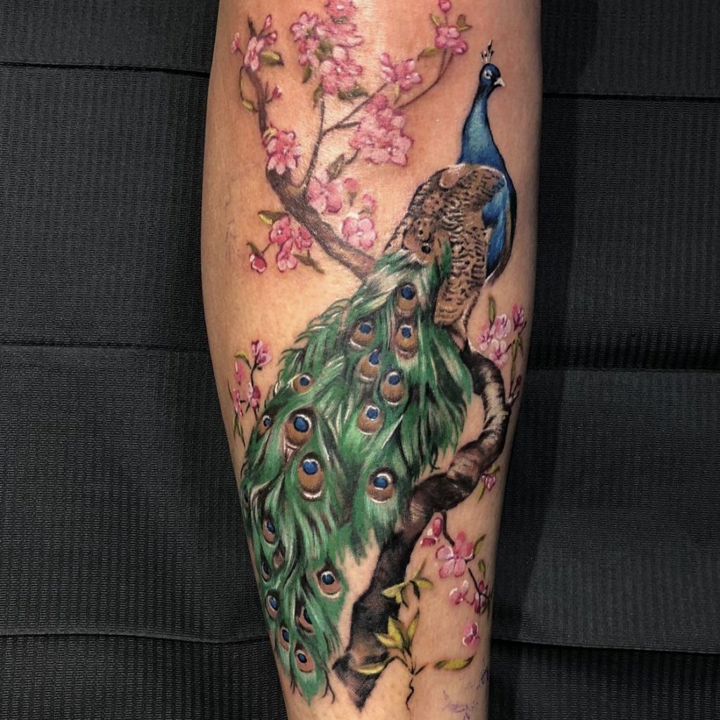 peacock-cherry-blossom-tattoo